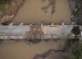 Puente dañado por el huracán Fiona en Villa Esperanza, Salinas. Foto: Alejandro Granadillo / AP