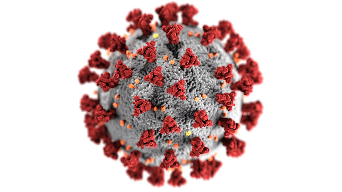 Coronavirus. Foto / Pexels