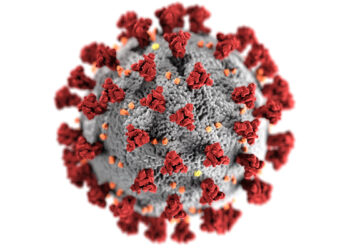 Coronavirus. Foto / Pexels