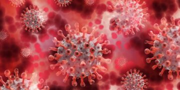 Coronavirus. Foto: Gerd Altmann / Pixabay