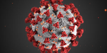 Coronavirus. Foto: CDC vía Pexels