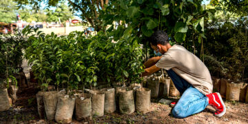 Foto: Para La Naturaleza (suministrado)