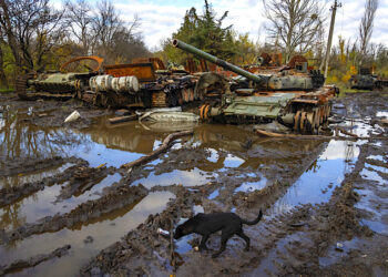 Foto: Efrem Lukatsky | AP