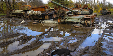 Foto: Efrem Lukatsky | AP