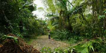 Limpieza de vereda en El Yunque tras el huracán Fiona. Foto suministrada