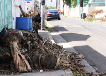 Escombros. Foto: Michelle Estrada Torres