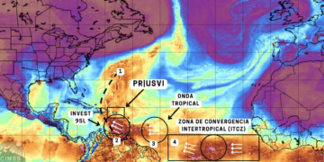 Pronóstico de siete días del SNM.