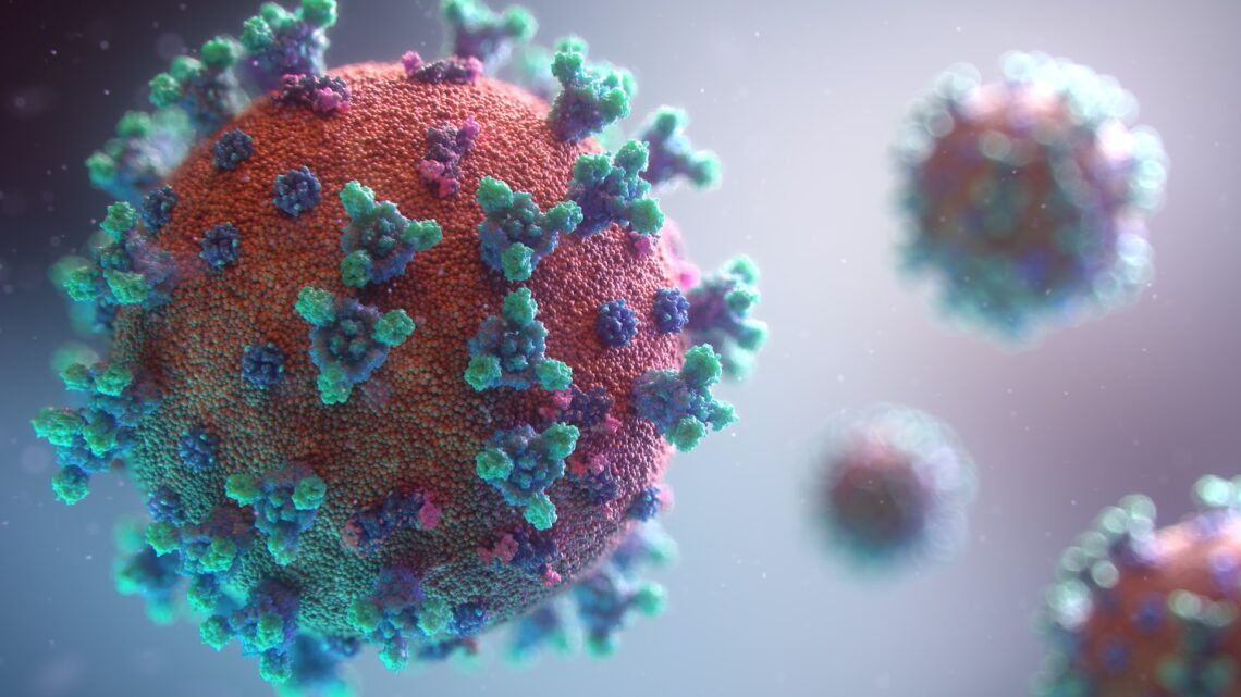 Coronavirus SARS-CoV-2. Foto: Fusion Medical Animation / Unsplash