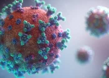 Coronavirus SARS-CoV-2. Foto: Fusion Medical Animation / Unsplash