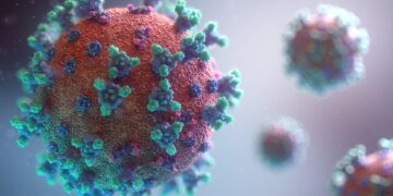 Coronavirus SARS-CoV-2. Foto: Fusion Medical Animation / Unsplash
