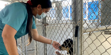 Foto: Michelle Estrada Torres | La Perla del Sur (archivo)