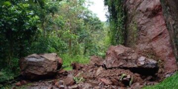 Derrumbe de tierra y piedras en la carretera PR-517 en el sector San Carlos del barrio Collores, Juana Díaz. Foto: NMEAD