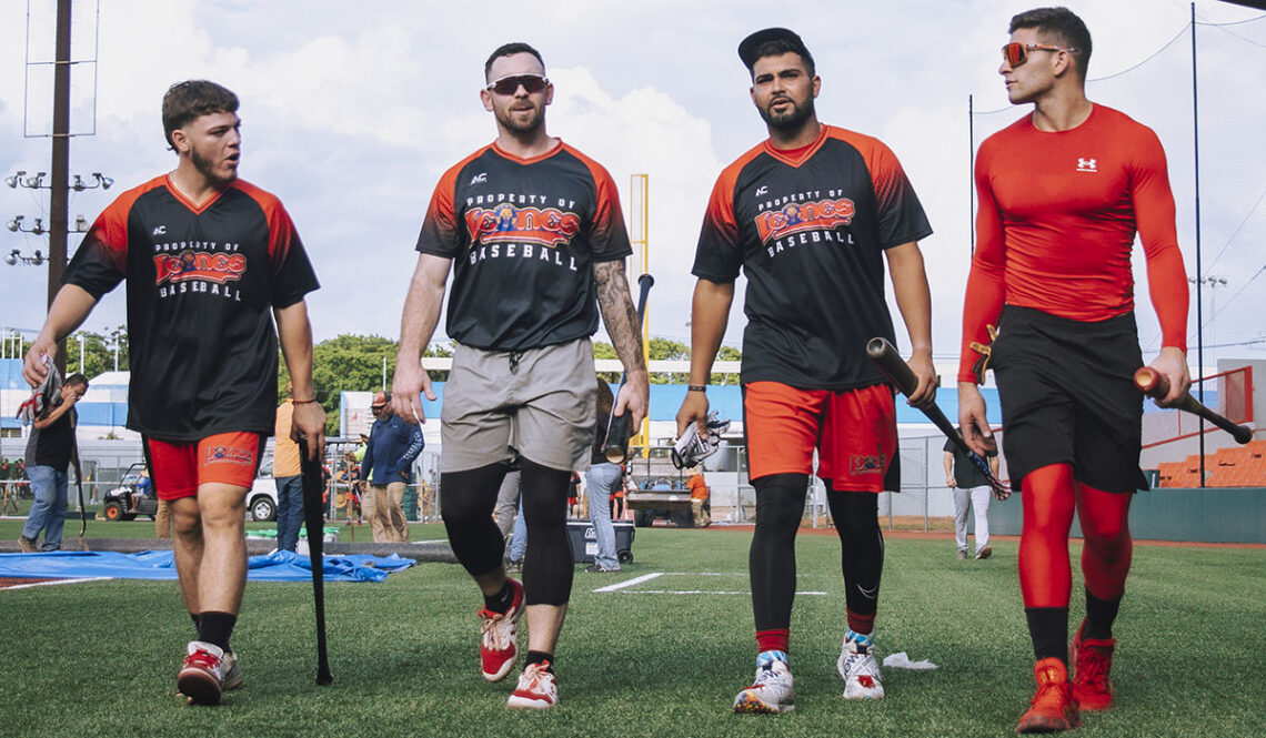 Los Leones de Ponce regresan a la pelota invernal luego de ocho años de ausencia. (Foto: Edgardo Medina)