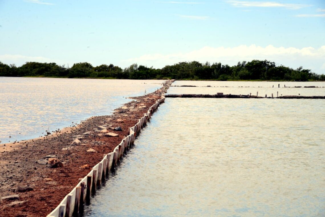 Las Salinas de Cabo Rojo antes del huracán Fiona. (Foto suministrada)