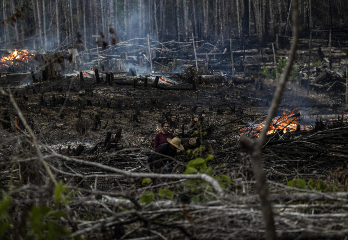 Bosque quemado en Careiro Castanho, Amazonas, Brasil. (Foto: EFE / Raphael Alves)