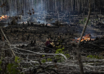 Bosque quemado en Careiro Castanho, Amazonas, Brasil. (Foto: EFE / Raphael Alves)