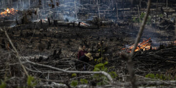 Bosque quemado en Careiro Castanho, Amazonas, Brasil. (Foto: EFE / Raphael Alves)