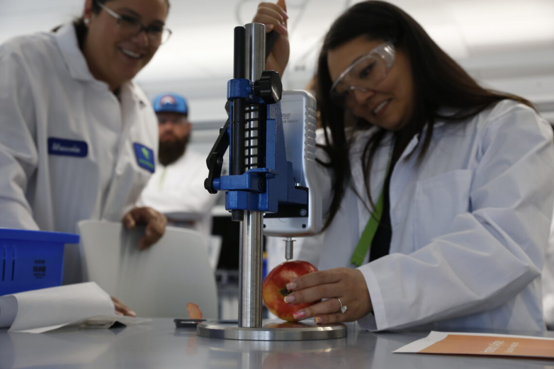 Liz Yi prueba la firmeza de una manzana en la sede de Hazel Technologies en Chicago. (Foto: Martha Irvine / AP)