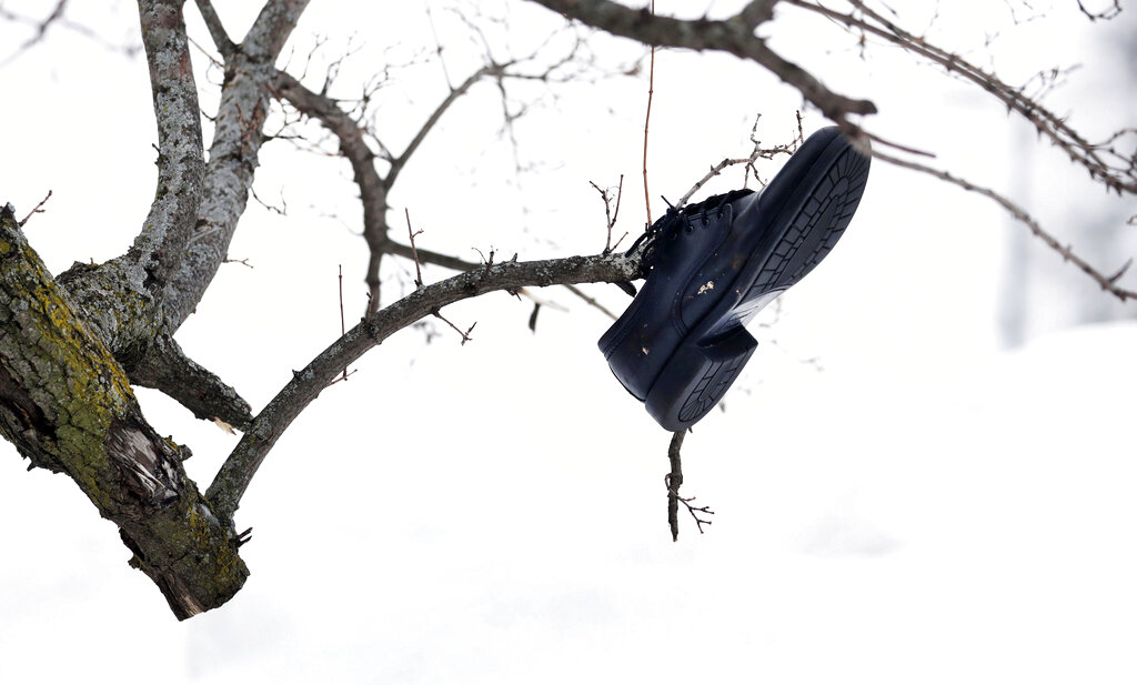 Un zapato cuelga de un árbol derribado por el viento en la Universidad de Buffalo, Nueva York, el martes 27 de diciembre de 2022. (Joseph Cooke/The Buffalo News vía AP)