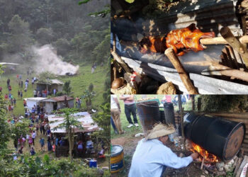 Estampas de la Fiesta Jíbara de Quebradillas. (Fotos suministradas)