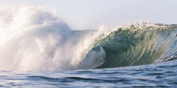 (Foto: Noah Munivez / Pexels)