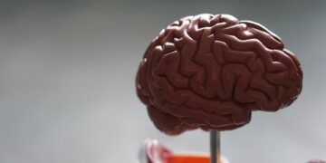 (Foto: Robina Weermeijer / Unsplash)