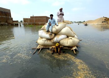 Víctimas de inundaciones provocadas por las lluvias monzónicas usan una balsa improvisada con el fin de transportar paja para el ganado, el 5 de septiembre de 2022, en Jaffarabad. (Foto: Fareed Khan | AP)