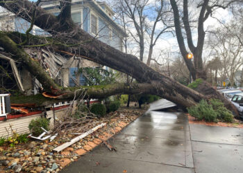 Un árbol cayó sobre una vivienda a causa de las tormentas en Sacramento, California, el domingo 8 de enero de 2023. (AP Foto/Kathleen Ronayne)
