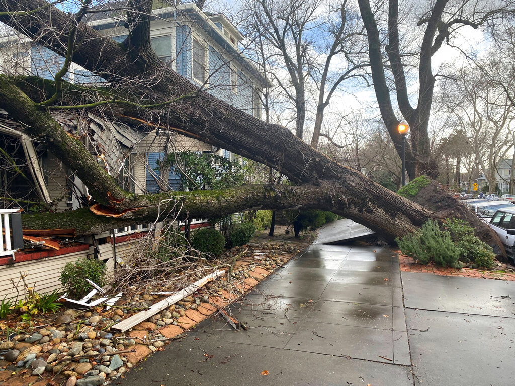 Un árbol cayó sobre una vivienda a causa de las tormentas en Sacramento, California, el domingo 8 de enero de 2023. (AP Foto/Kathleen Ronayne)
