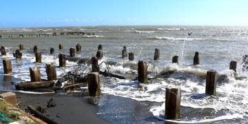 Foto: Michelle Estrada Torres | La Perla del Sur