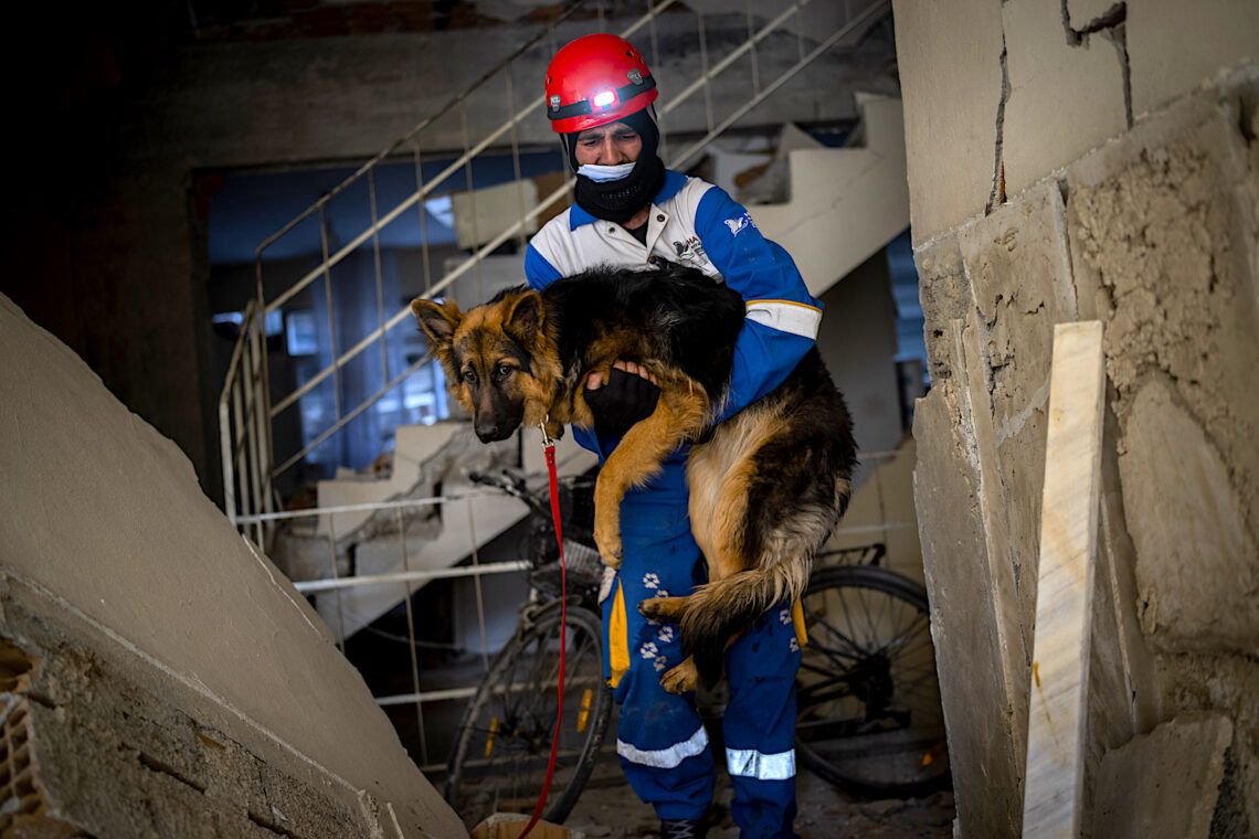 Mehmet Gurkan, miembro del grupo turco de protección animal HAYTAP, rescata a un perro que estuvo siete días atrapado en una casa afectada por el terremoto en Antioquía, en el sureste de Turquía. (Foto: Bernat Armangué | AP)