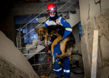 Mehmet Gurkan, miembro del grupo turco de protección animal HAYTAP, rescata a un perro que estuvo siete días atrapado en una casa afectada por el terremoto en Antioquía, en el sureste de Turquía. (Foto: Bernat Armangué | AP)