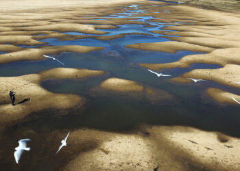 El lecho expuesto del Río Paraná Viejo, afluente del Paraná, durante una sequía en Rosario, Argentina (Foto: Victor Caivano | AP, archivo)
