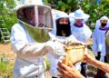 Integrantes del Proyecto Líderes Comunitarios y Ambientalistas se adiestrarán en apicultura. (Foto: COSUAM)