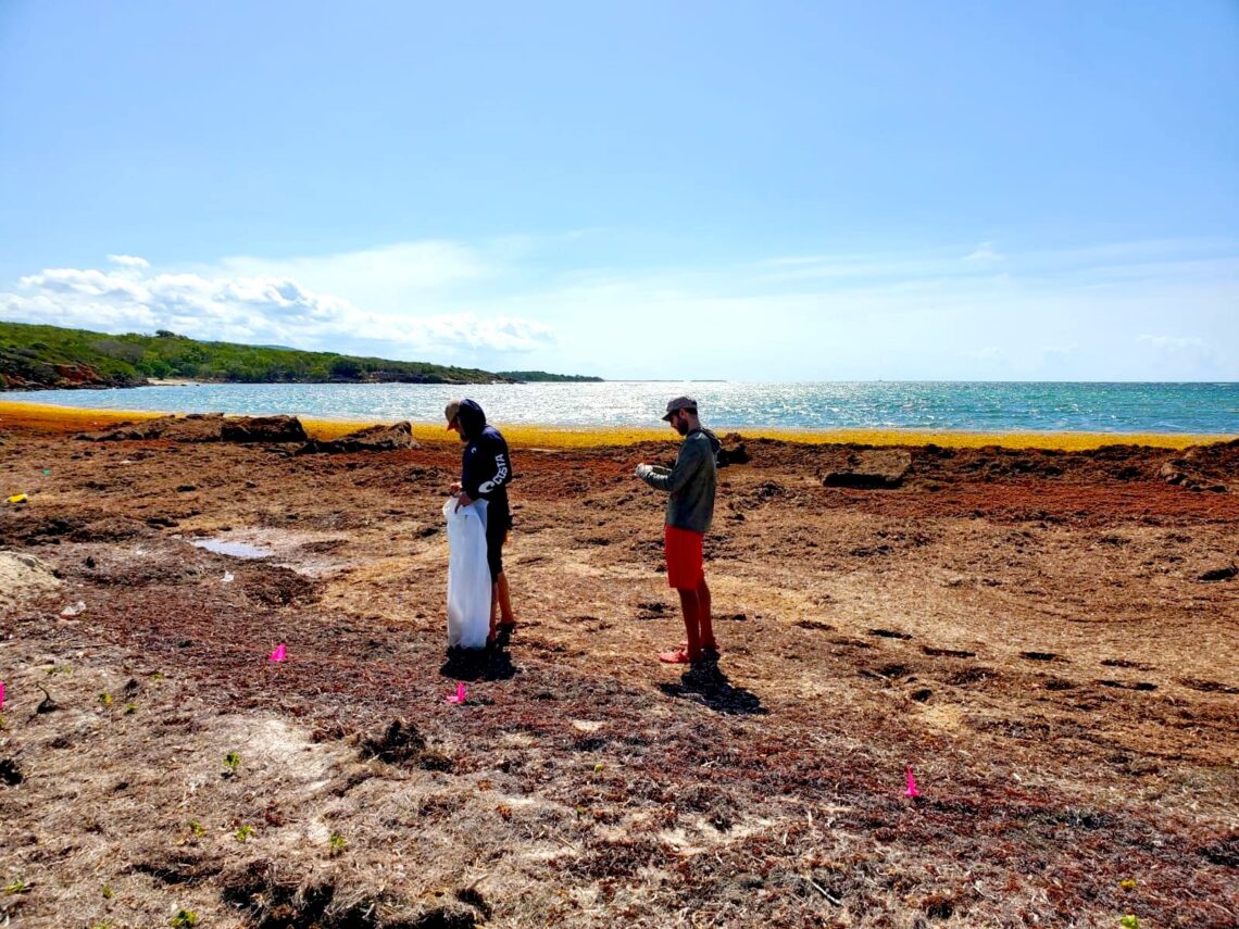 Protectores de Cuencas limpian la costa de Guánica. (Foto: Facebook / Protectores de Cuencas)