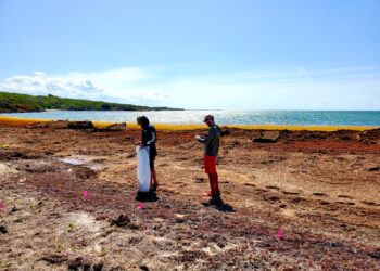 Protectores de Cuencas limpian la costa de Guánica. (Foto: Facebook / Protectores de Cuencas)