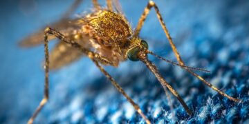 Foto: Unsplash (archivo)