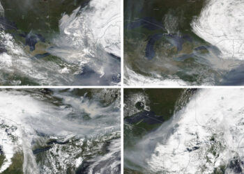 Imágenes satelitales muestran la dirección del viento con el humo de los incendios forestales en Quebec, Canadá, el 6, 7, 25 y 27 de junio de 2023. (Foto: NASA Worldview (EOSDIS) vía AP)