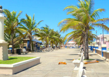 Paseo de las Damas en Arecibo. (Foto: Ian Poellet vía Wikimedia Commons)