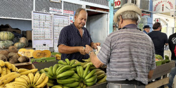 Plaza del Mercado de Yauco. (Foto: Michelle Estrada Torres/La Perla del Sur)
