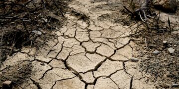 (Foto: Engin Akyurt en Pexels)