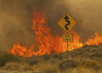 Llamas del incendio York cubren el camino Ivanpah en la Reserva Nacional Mojave, California, 31 de julio de 2023.  (Foto: AP/Ty O'Neil)
