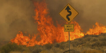 Llamas del incendio York cubren el camino Ivanpah en la Reserva Nacional Mojave, California, 31 de julio de 2023. (Foto: AP/Ty O'Neil)