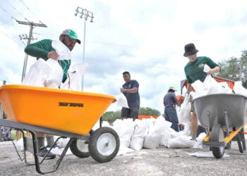Miembros del departamento de parques y jardines de Tampa, Florida, ayuda a los residentes con costales de arena antes de la llegada de la tormenta Idalia. (Foto: AP/Chris O'Meara)