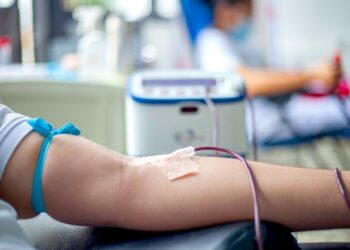 (Foto: Frank Meriño en Pexels)