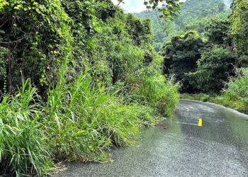 Foto: Michelle Estrada Torres / La Perla del Sur