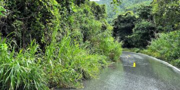 Foto: Michelle Estrada Torres / La Perla del Sur