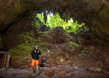 Parque de las Cavernas del Río Camuy. (Foto: Discover Puerto Rico)