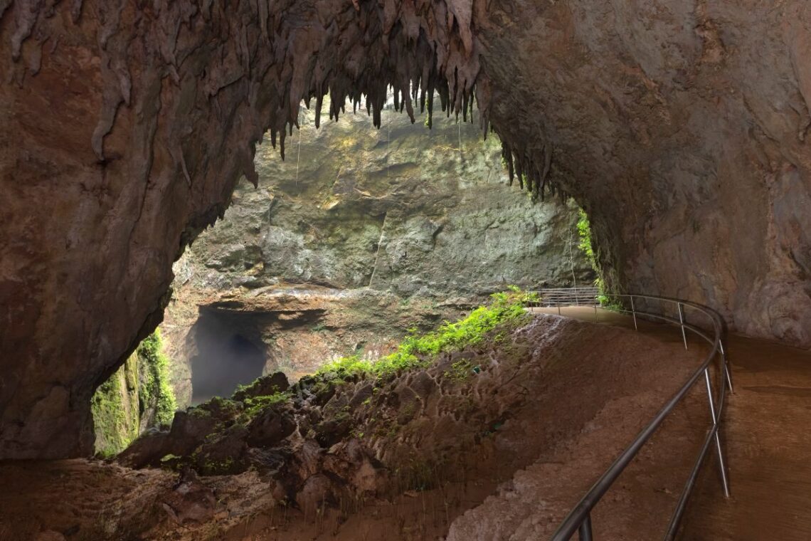 Parque de las Cavernas del Río Camuy. (Foto: Discover Puerto Rico)