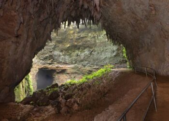 Parque de las Cavernas del Río Camuy. (Foto: Discover Puerto Rico)